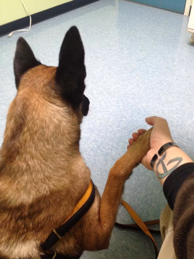 Một cái nắm tay thật chặt mới giúp cún yêu đủ dũng khí bước vào phòng khám.