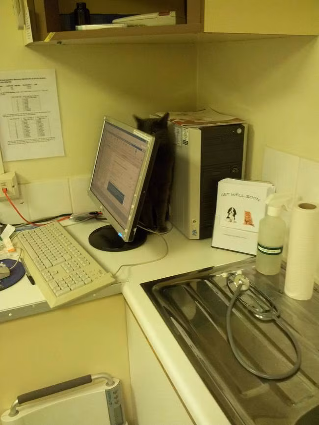 Núp sau màn hình máy tính...