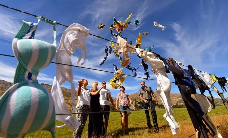 Nhưng bạn không cần lo lắng, chẳng bao lâu, chúng lại xuất hiện trở lại.