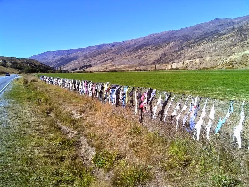 Nhiều lần, người ta đã cố gắng tháo bỏ hết áo ngực trên hàng rào. Nhưng chẳng bao lâu, tình trạng này lại được khôi phục.