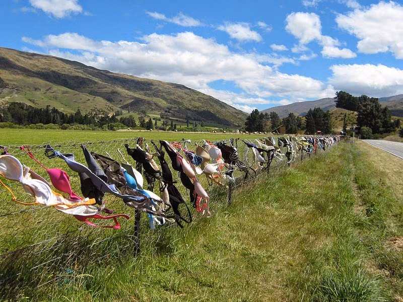 Cuối năm 2006, kỷ lục hàng rào có nhiều áo ngực nhất trên thế giới đã được ghi nhận với hơn 100.000 chiếc.