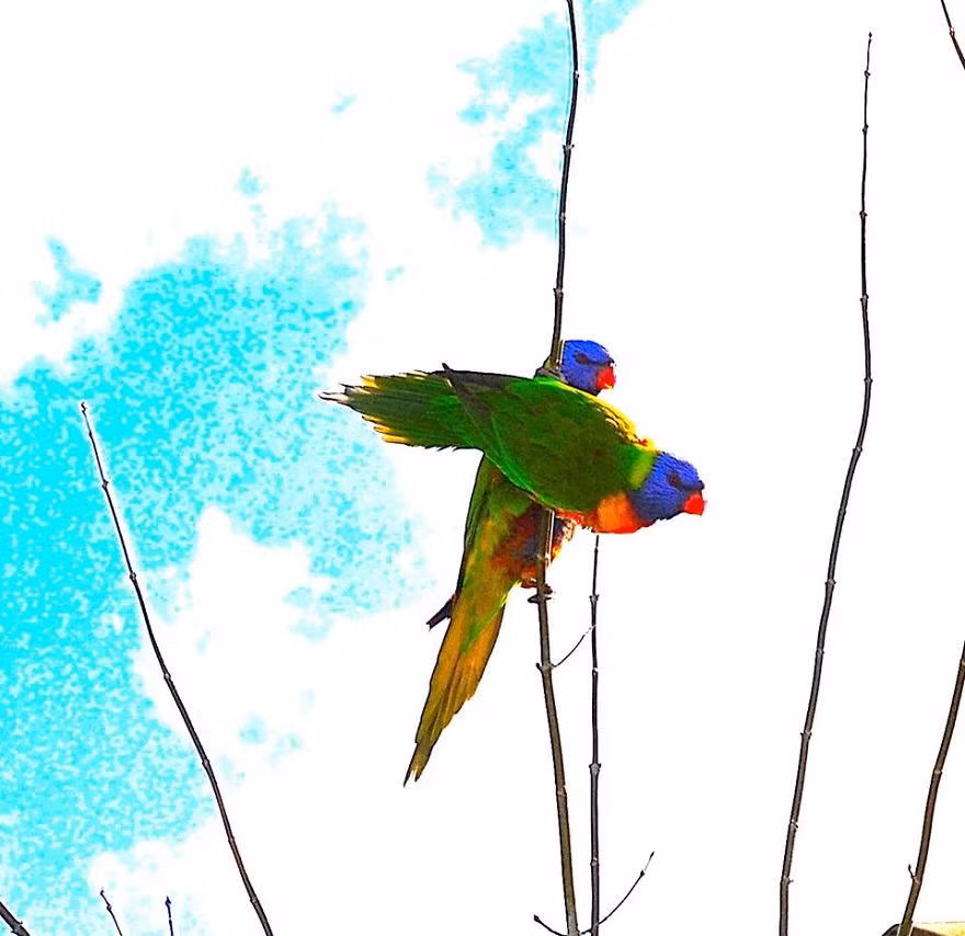 Em ơi, có mồi kìa!