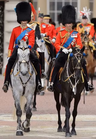 Số lượng ngựa trong quân đội Anh hiện nay thì nhiều hơn cả số lượng xe tăng ở đây.