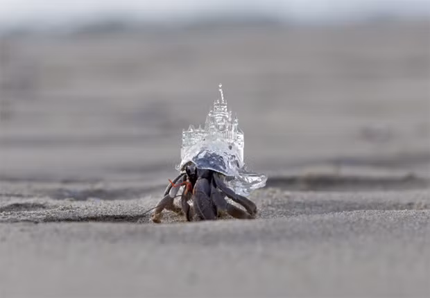 Nghệ sĩ người Nhật Bản Aki Inomata coi đó là một phép ẩn dụ rất tuyệt thể hiện sự thay đổi cá tính và nảy ra ý tưởng tạo ra những ngôi nhà đẹp đẽ dành cho cua ẩn sĩ.