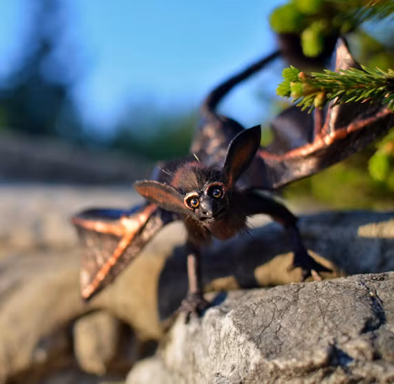 Bởi thế, mỗi con rồng đều có hình dáng, màu sắc, kích thước khác nhau nhưng tất cả đều rất quyến rũ.