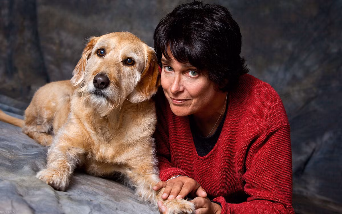 Mutt không phải là một giống chó mà là loài lai tạo của nhiều giống khác nhau nên mỗi chú chó Mutt là độc nhất vô nhị. Ưu điểm của chúng là thân thiện, thông minh, ít bệnh tật nhưng khá khó đoán về kích thước.