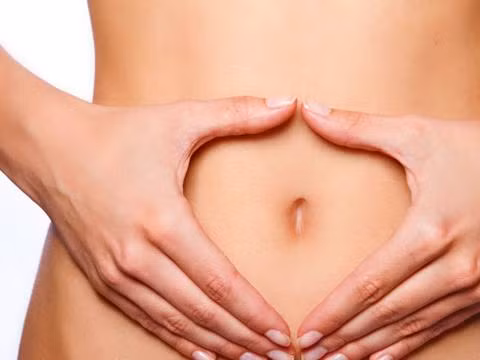 Các nhà nghiên cứu đã tìm thấy 1,458 loại vi khuẩn mới ở nút rốn.