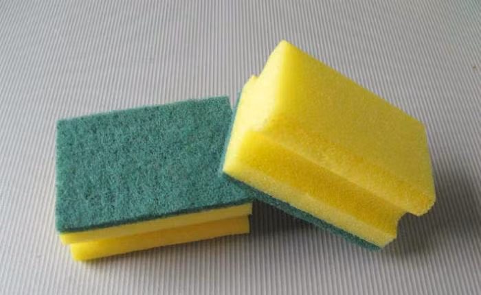 Cứ 20 phút, những con khuẩn mới lại được sinh sôi trong miếng bông rửa bát.