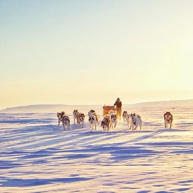 Những bức ảnh này đều được cặp đôi ghi lại trong chuyến đi đáng nhớ của mình, khám phá Bắc Cực bằng xe trượt tuyết. Nền tuyết trắng và quang cảnh nơi đây cùng hiệu ứng ánh sáng tự nhiên khiến bộ ảnh trở nên vô cùng ấn tượng.