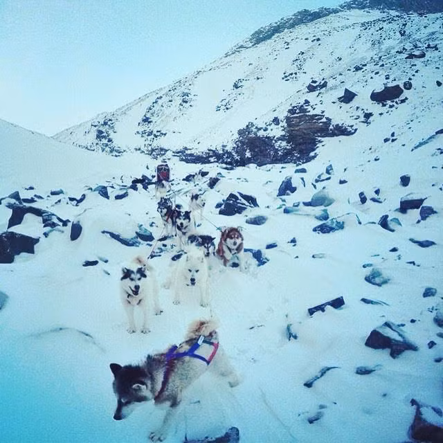 Chuyến đi mang đến cho đôi bạn trẻ rất nhiều thử thách. Chỉ 4 ngày sau khi khởi hành, họ gặp một cơn bão lớn khi đang ở trên cao nguyên rất cao khiến cả đàn chó hoảng sợ, đòi quay về.
