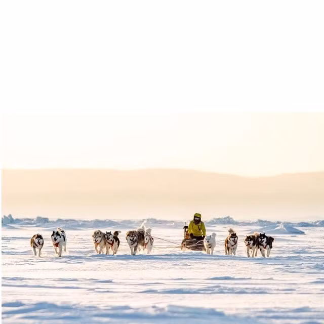 Trong cuộc thám hiểm trước đó, hai nhà thám hiểm đã từng phải đối đầu với gấu Bắc Cực nhưng rất may họ đều vượt qua thử thách một cách an toàn.