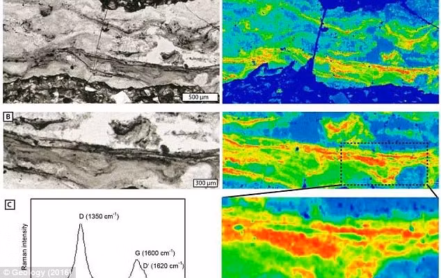 Phat hien hoa thach vi khuan co dai biet “tron nang“-Hinh-2