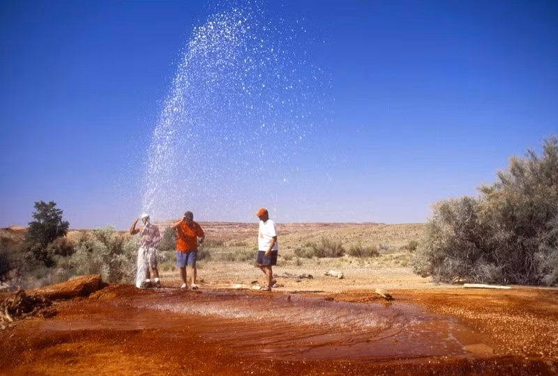 Chaffin Ranch thường phun trào vào mùa xuân và mùa hè, và hoạt động ít thường xuyên hơn vào cuối mùa thu và mùa đông.