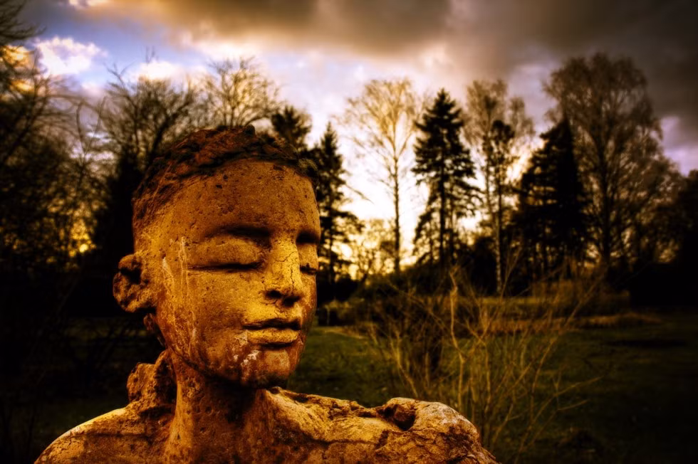 Người bị mù bẩm sinh vẫn có thể có những giấc mơ sống động nhưng thay vì nhìn thấy hình ảnh, họ thường cảm nhận được mùi vị, hình dạng, âm thanh hay những cảm nhận về xúc giác.