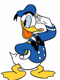 Tên đệm của chú vịt Donald là “Fauntleroy”.