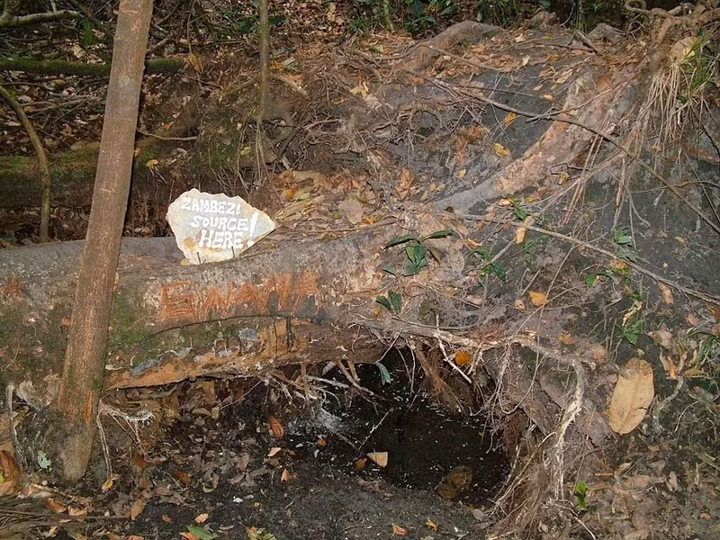 Là con sông lớn nhất đổ vào Ấn Độ Dương từ châu Phi, sông Zambezi khởi nguồn từ vùng đầm lầy phía tây bắc của Zambia có cao độ khoảng 1.524 m trên mực nước biển. Ít ai có thể ngờ được cội nguồn của nó lại là nơi như thế này.