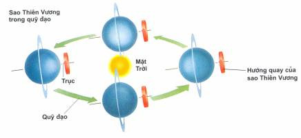 Không giống như các hành tinh khác, sao Thiên Vương quay trong khi nằm ngang trên quỹ đạo quanh Mặt trời.