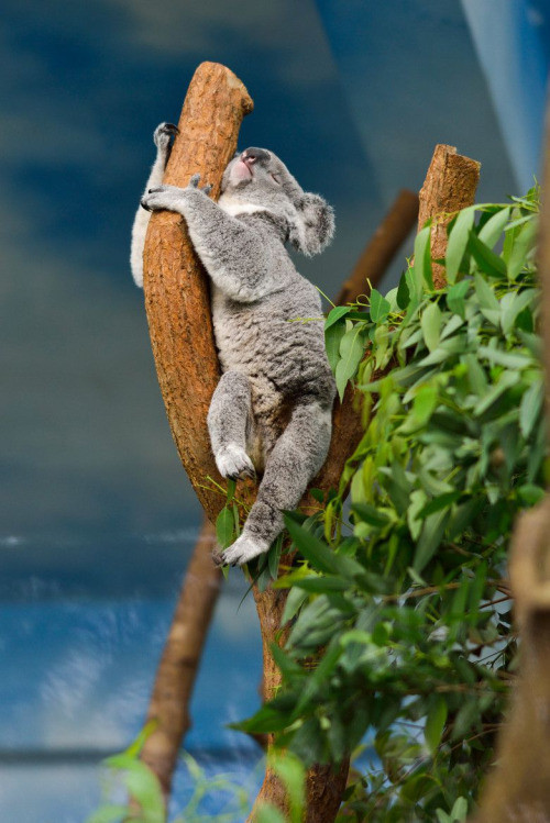 Tận hưởng vẻ đẹp và sự trong lành của thiên nhiên.