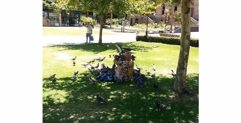 Người đàn ông này có lẽ cũng đang khóc thét vì bị lũ chim yêu mến quá đà.