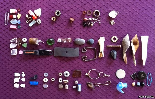 Khi được hỏi tại sao bầy quạ lại tặng quà cho cô bé, Gabi hồn nhiên trả lời: "Bởi vì chúng muốn cho tôi biết chúng yêu tôi nhiều như thế nào".