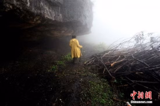 Để có thực phẩm, bà trồng cải bắp ngoài hang động bằng hạt giống do một nông dân địa phương cho.