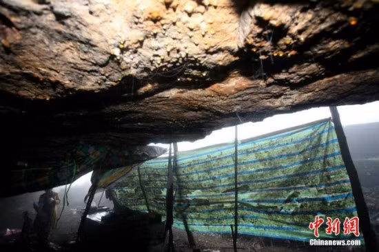 Người phụ nữ 52 tuổi, tên là Du Meiying nói rằng bà đã sống cuộc sống ăn lông ở lỗ ở hang động ẩm thấp này được hai năm, kể từ khi gia đình bị khủng hoảng tài chính, không thể nuôi bà được nữa.