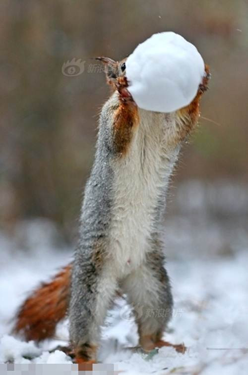 Xem thêm một số hình ảnh khác.