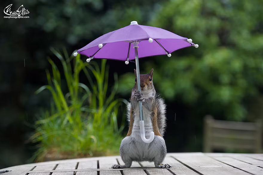 Chính khoảng thời gian đó đã đủ để Max thực hiện bộ ảnh này.