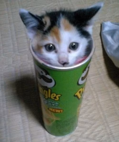 Cảm giác lạ lẫm thật thích thú!