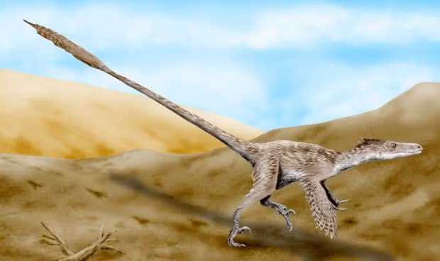 Một đặc điểm khắc nữa trên cơ thể Velociraptor là chúng có cánh nhưng đôi cánh ngắn ngủn chỉ có thể giúp chúng giữ thăng bằng chứ không giúp chúng bay được.