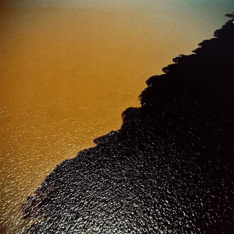 Trong khi đó, các dòng nước của Amazon lại có nhiều cát, bùn và nước sông có màu hơi nâu.