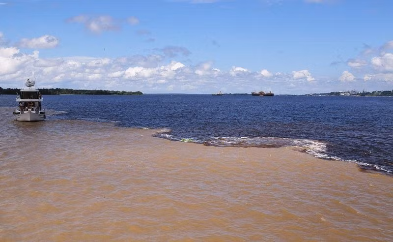 Rio Negro là phụ lưu lớn nhất của sông Amazon và là dòng sông nước đen lớn nhất thế giới. Bản thân cái tên “Rio Negro” có nghĩa là “sông Đen”.