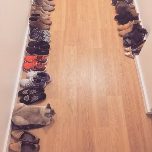 Hay ngẩn ngơ với quá nhiều đôi giày để lựa chọn.