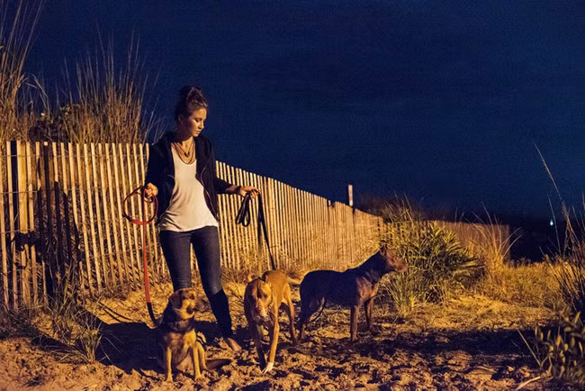 Dukes và gia đình mình được Zhenia dắt đi dạo biển đêm.