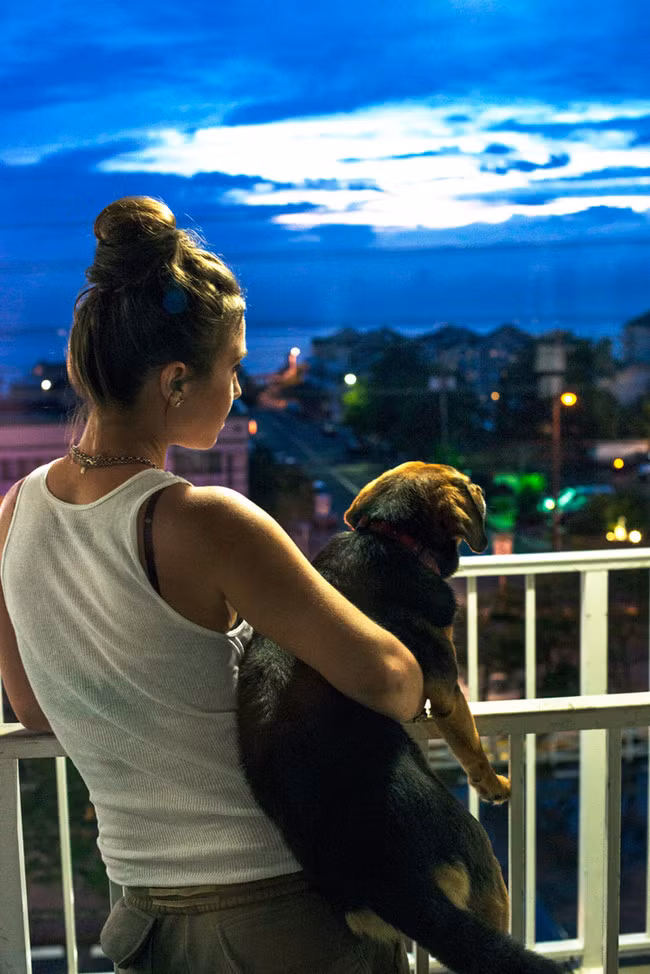 Hoàng hôn, Zhenia bế một thành viên trong gia đình nhỏ của Dukes cùng với tất cả những người khác ngắm mặt trời lặn ở ban công khách sạn mà họ thuê.