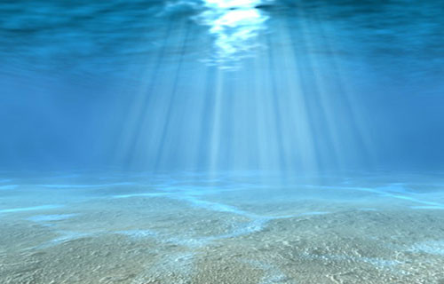 Những khám phá về đại dương bí ẩn luôn khiến con người bất ngờ. Độ sâu trung bình của đại dương là 4km.