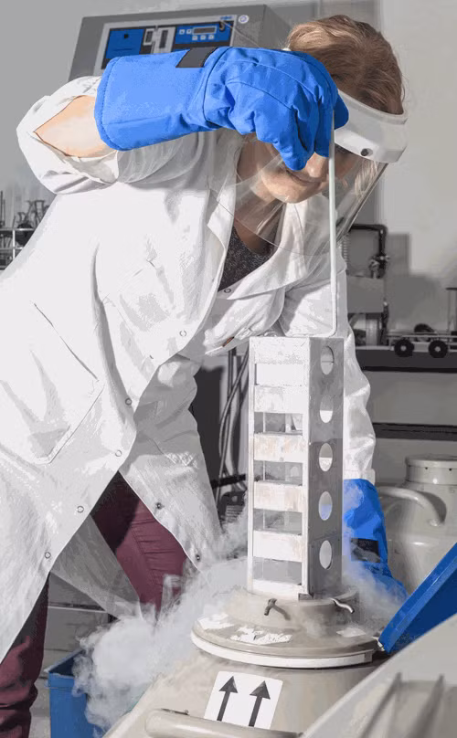 Sau đó, họ sử dụng 16 loại thuốc khác nhau để giúp cho tế bào không bị hư tổn sau khi chết trước khi rút hết máu và dịch cơ thể rồi bơm chất lỏng bảo vệ nội tạng vào thay thế. (Ảnh: Một nhà khoa học xử lý chất ni tơ lỏng, dung dịch chủ yếu để đông xác chờ phục sinh).