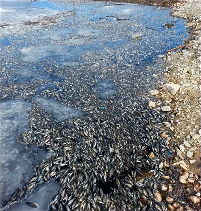 Có rất nhiều cách lý giải cho hiện tượng cá chết hàng loạt trên sông rùng rợn này. Một số người cho rằng cá chết là do việc sử dụng chất nổ để phá băng trên hồ nhưng giả thuyết này bị các quan chức chính quyền địa phương phủ nhận.