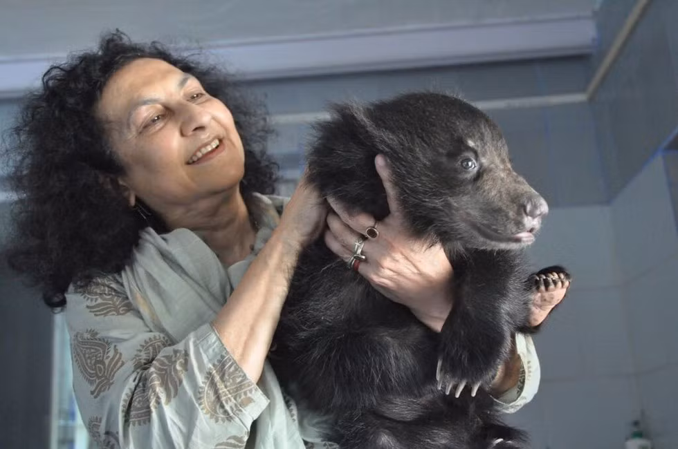 Được tìm thấy gần biên giới giữa Ấn Độ và Nepal nên nhóm cứu hộ tin rằng kẻ săn trộm đang lập kế hoạch buôn lậu Elvis vào Nepal để bán các bộ phận cơ thể của nó hoặc bán vào một gánh xiếc.