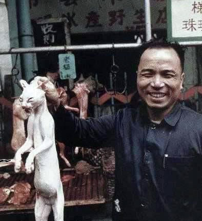 Mỗi năm ở Trung Quốc có 4 triệu con mèo bị giết thịt.