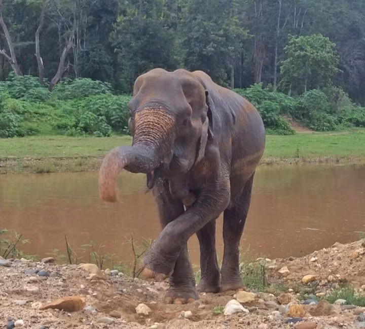 Noi Nah là một bằng chứng sống cho thấy sự thay đổi mà tình yêu có thể mang lại cho những số phận đáng thương.