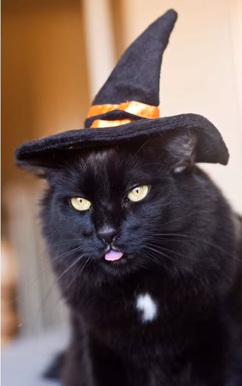 Cô phù thủy đáng yêu.