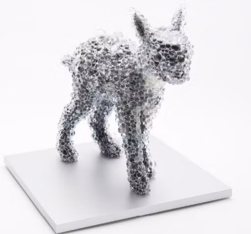 Nghệ nhân Kohei thường tìm kiếm những con vật chết, đã được làm khô trên các trang bán đấu giá để làm chất liệu cho sáng tạo của mình.