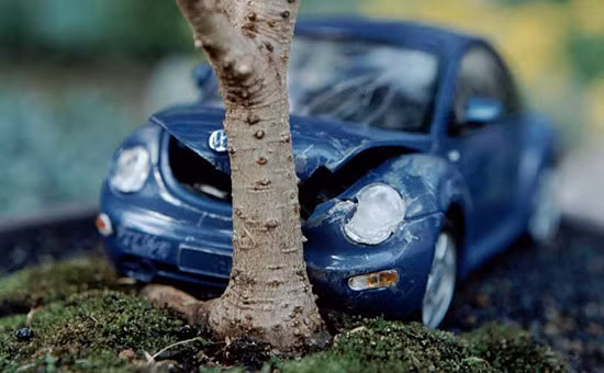 Trong khi đó, John Rooney lại rất thích tạo hình bonsai với những chiếc ô tô đồ chơi, điển hình như tác phẩm “Tai nạn xe hơi” này.