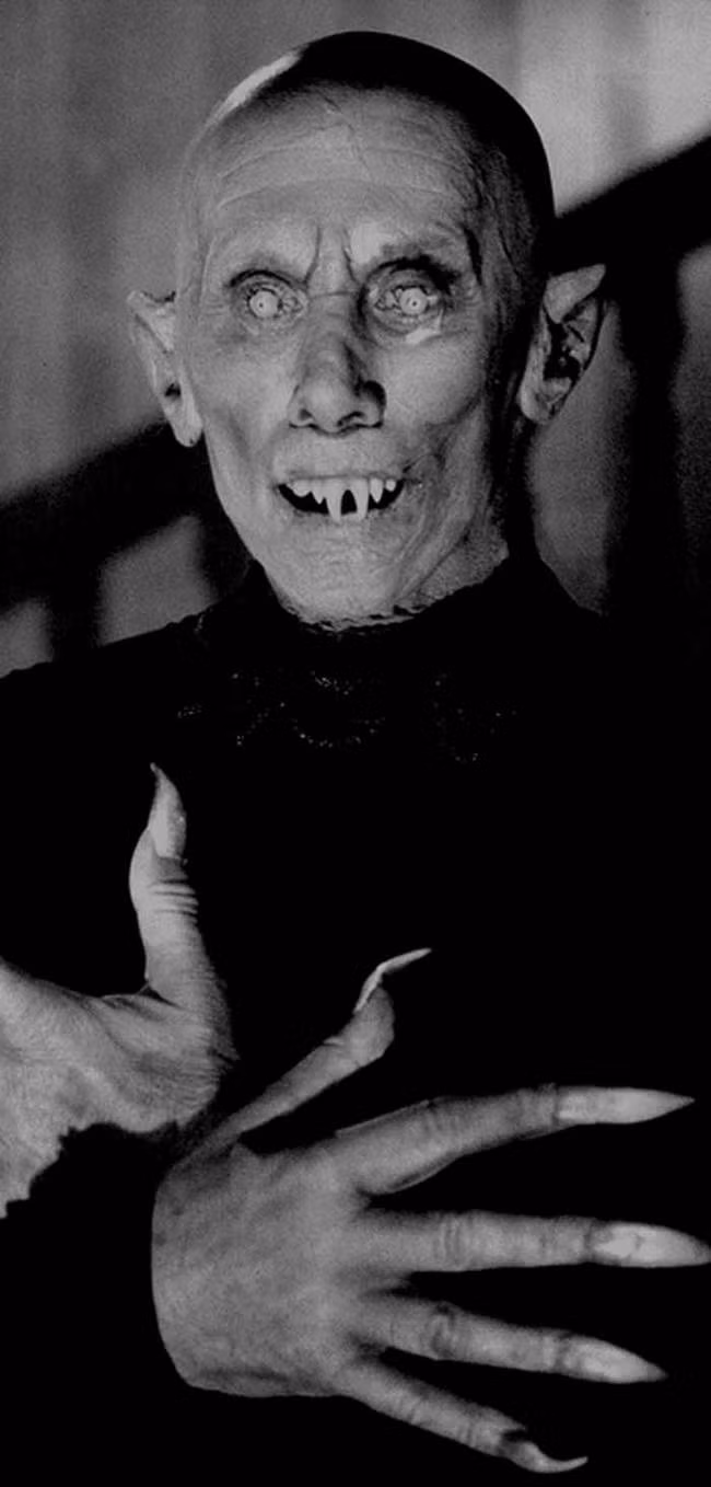 Trong thời kỳ xảy ra đại dịch Cái chết đen ở châu Âu, người chết thường được chôn với một hòn đá trong miệng với niềm tin rằng dù cho người chết có sống lại thì cũng không thể ăn những tử thi khác. Đó là chân dung cơ bản nhất về ma cà rồng thực thụ.