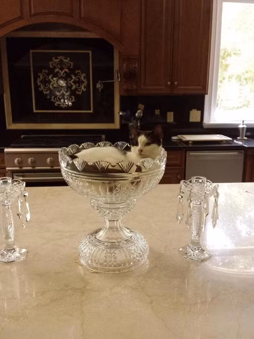 Cô nàng có chiếc giường ngủ bằng pha lê.