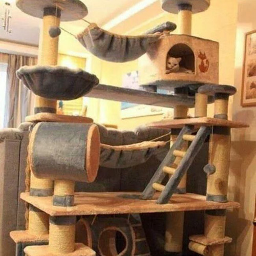 Và chắc hẳn chỗ ở của con mèo đáng yêu cũng khiến bạn "phát hờn" vì quá hoành tráng.