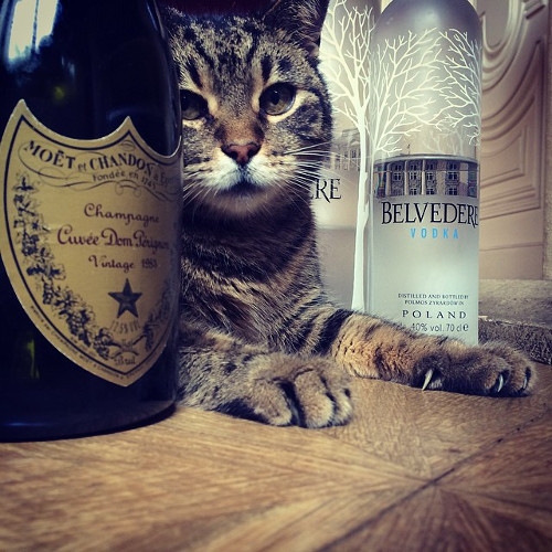 Ăn tôm hùm rồi còn phải thưởng thức rượu vang nho nữa.