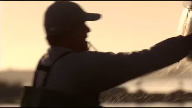 Các nhà khoa học tin rằng hành vi cộng tác với con người của đàn cá heo được “di truyền” từ cha mẹ chúng. Tương tự như thế, con người cũng dạy dỗ con cái mình cách đánh cá chung với cá heo.