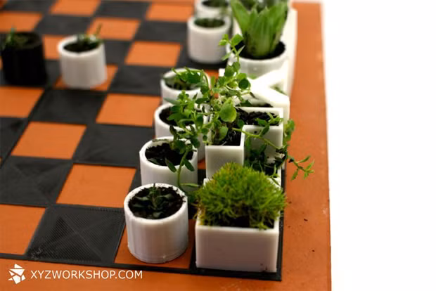 Bàn cờ vẫn được chia thành 2 đội với 2 màu trắng đen phân biệt rõ ràng.